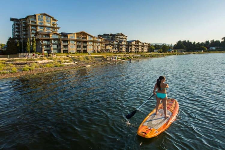 Paddle board